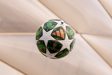 card Balón de la Champions League 24/25